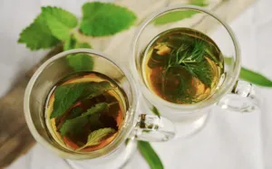 Co warto wiedzieć o zielonej herbacie sencha?
